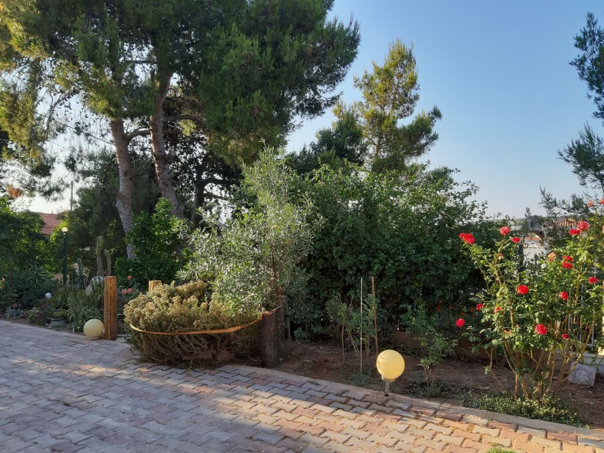 Litsas'Cozy House Villa Porto Rafti Bagian luar foto